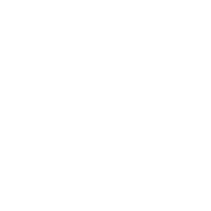 ICONO OSO QUIEROGLOBOS